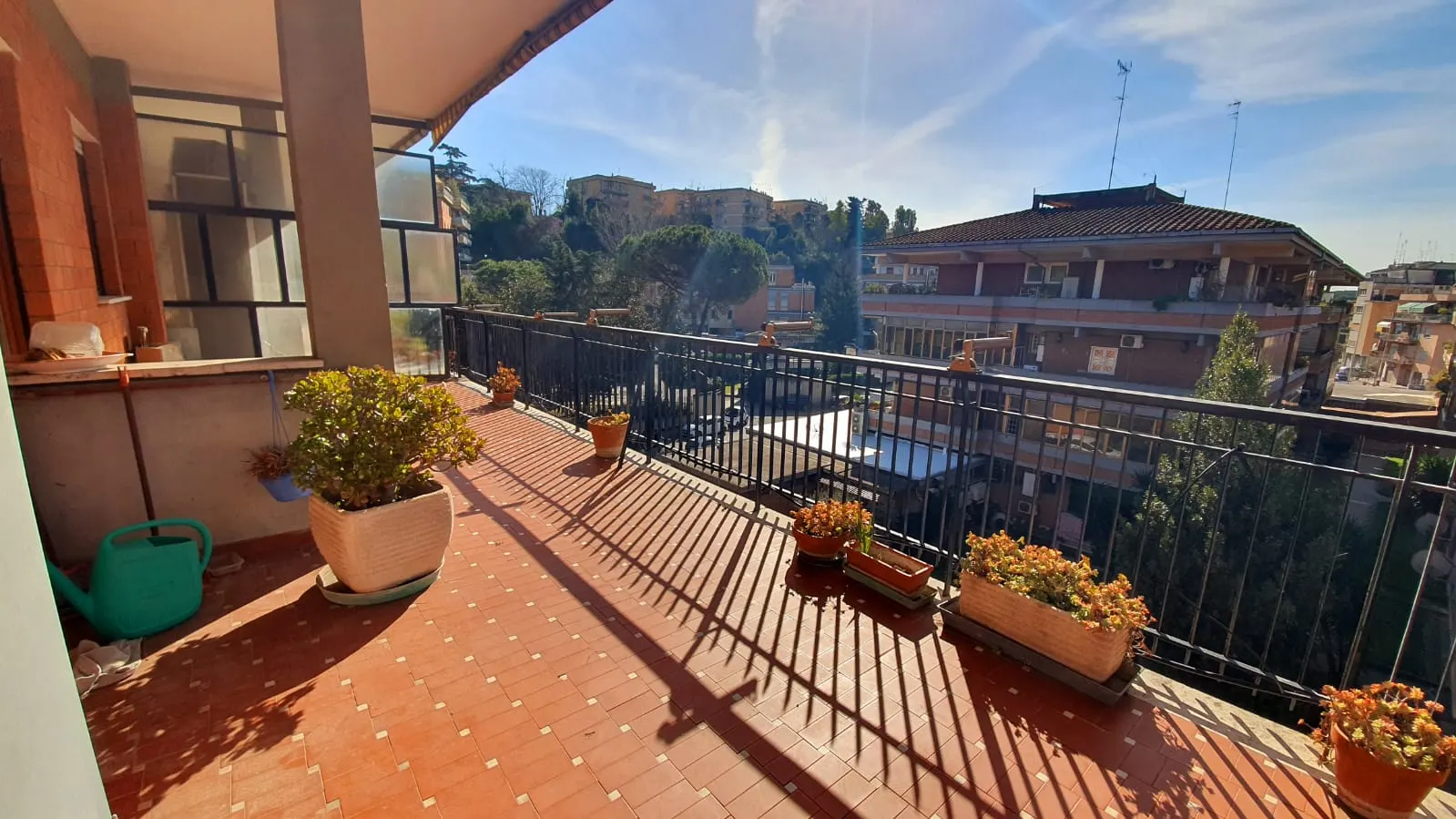 Dettaglio del terrazzo con piante grasse, fioriere e ringhiera nera